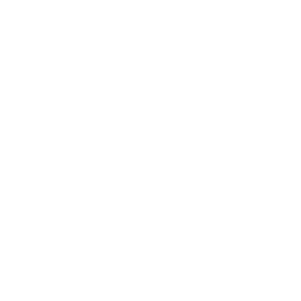 Vision Nest